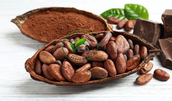 Tác dụng của Cacao đối với sức khỏe