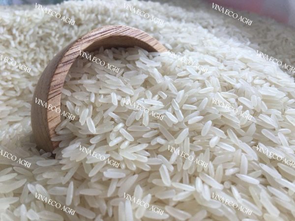 RICE: Vietnam's Premium Grain for Global Markets