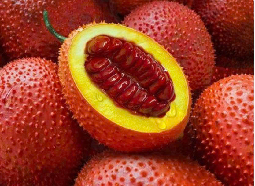 Gac Fruit Powder Suppliers-Export-Quality for USA, Europe, and Asia Markets