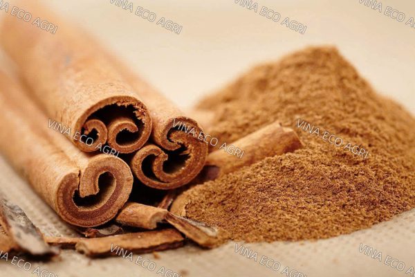 Cassia: Uses, Benefits, and Applications in Food & Herbal Industry