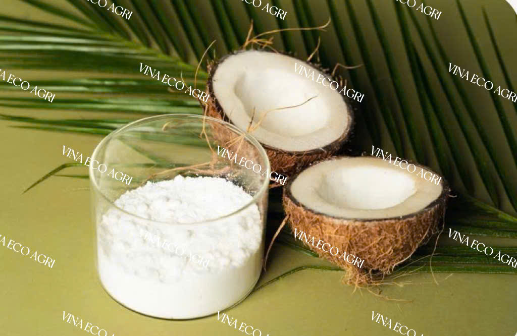 COCONUT MILK POWDER