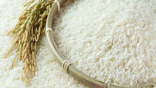 Rice Manufacturers in Vietnam: A Trusted Source for High-Quality Rice Exports