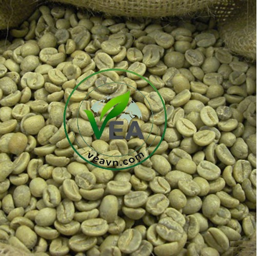 CÀ PHÊ HẠT ROBUSTA NHÂN XANH