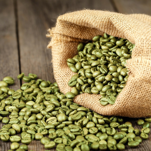 How to Choose a Reputable Green Coffee Exporter: A Complete Buyer’s Guide