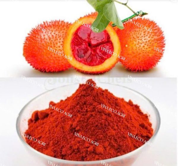 Gac Fruit Powder Supplier from Vietnam – Premium Quality for Global Markets
