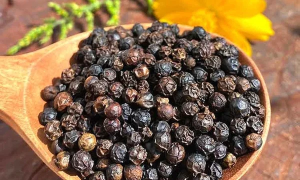 How Black Pepper Supports Digestion and Immunity