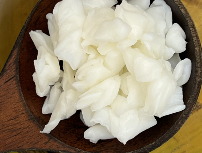 What Is Dried Raw Nata De Coco?