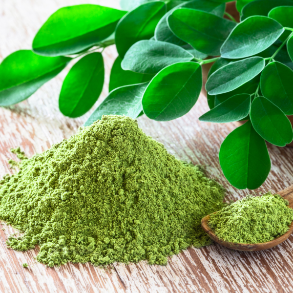Best Moringa Leaf Powder for Export and Industrial Use_VietNam Moringa leaf powder supplier
