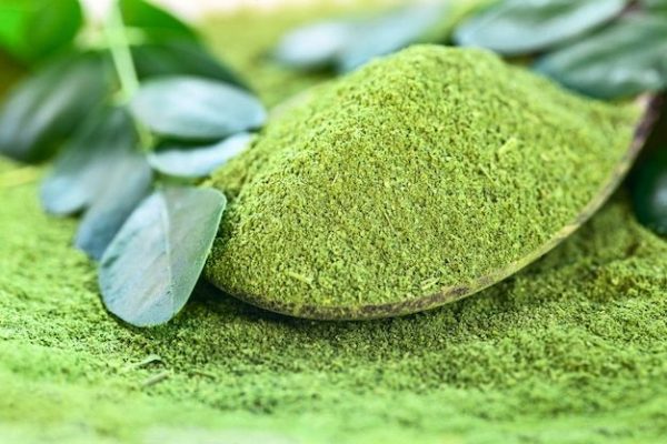 What Is the Nutritional Value of Moringa Powder? Vietnam Moringa leaf powder supplier