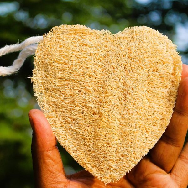 Best Dried Loofah Products for Personal Care and Household Use