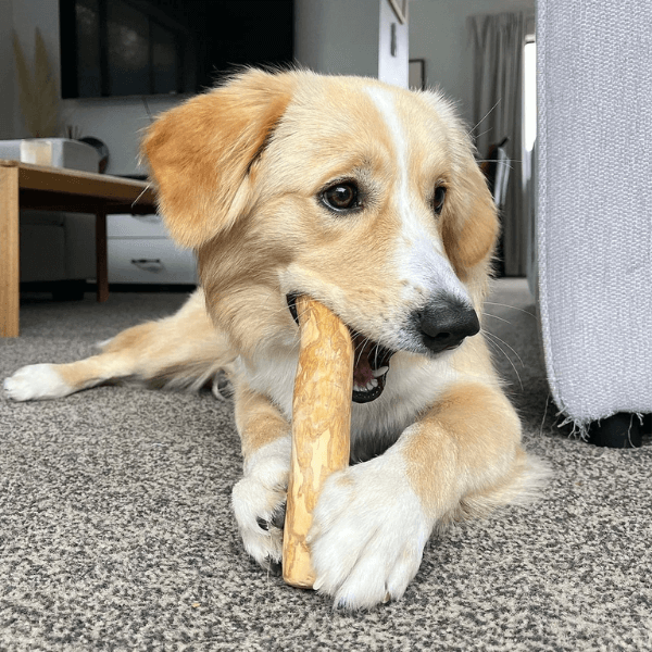 Bulk Coffee Wood Dog Chew Manufacturer from Vietnam