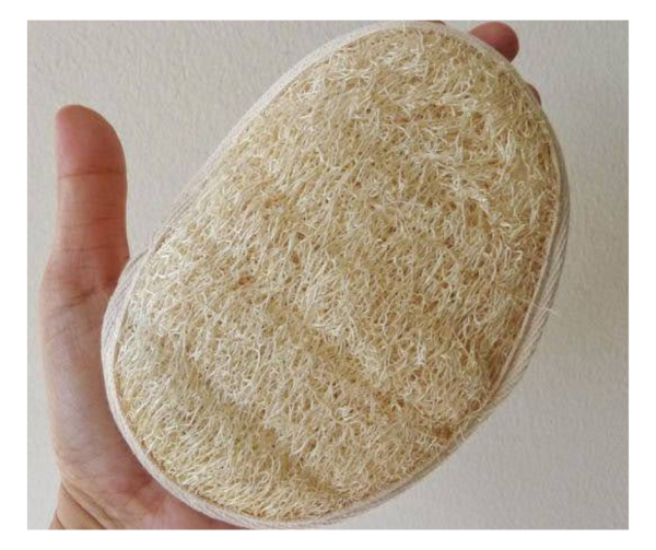 Dried Loofah for Skincare, Bathing, and Kitchen Cleaning