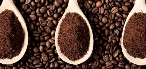 Giới thiệu về hạt cafe và các loại phổ biến