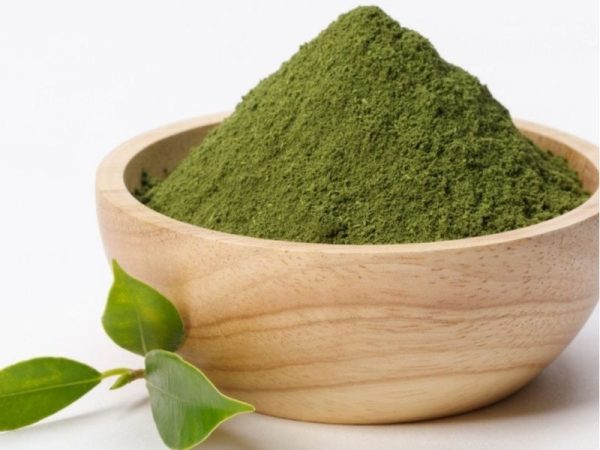 Top Moringa Leaf Powder Supplier in Vietnam for International Buyers