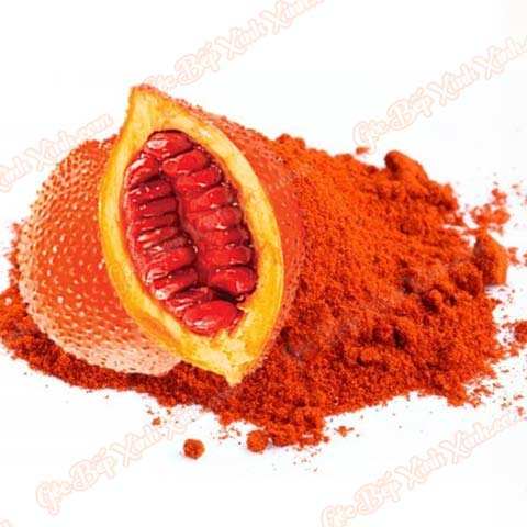 Vietnam GAC Powder Manufacturer – Trusted Source of Premium Gac Fruit Powder