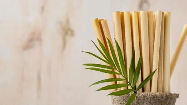 How Many Times Can You Reuse a Bamboo Straw?