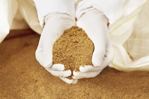 Fish Meal: Benefits, Uses, and Global Market Demand