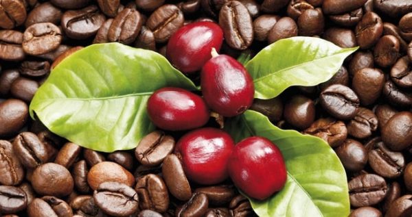 Cà Phê Việt Nam: Lịch Sử, Văn Hóa Và Hương Vị Đặc Trưng