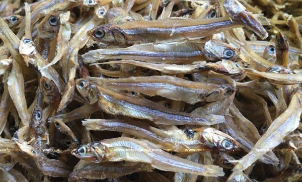 Dried Anchovy – Premium Quality Seafood for Export