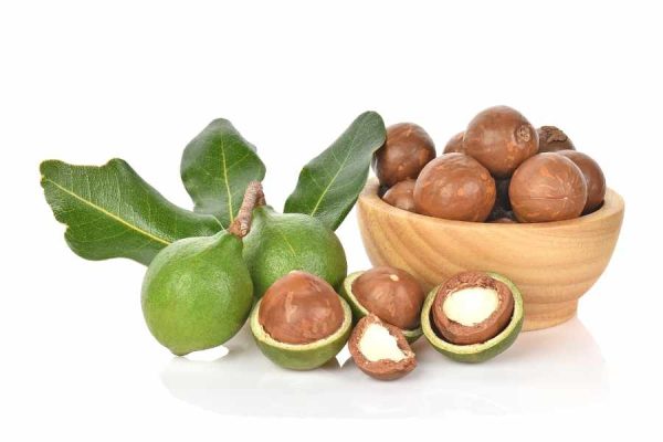 7 Lợi Ích Bất Ngờ Của Hạt Macca Đối Với Sức Khỏe Và Sắc Đẹp