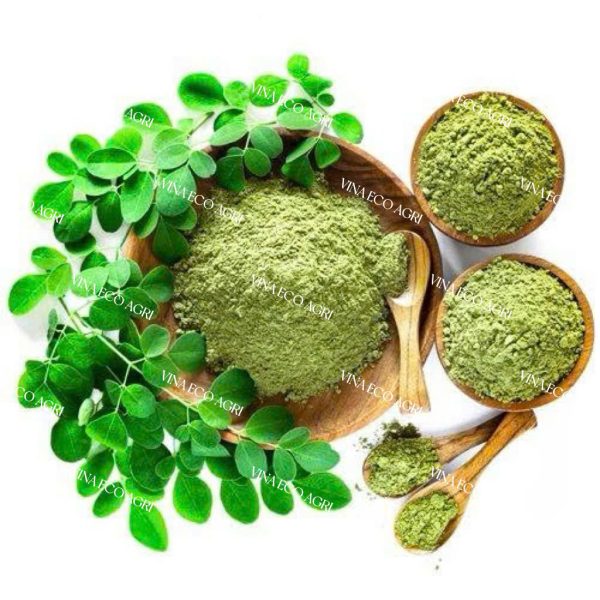 Leading Moringa Leaf Powder Supplier – Export-Grade Quality from Vietnam
