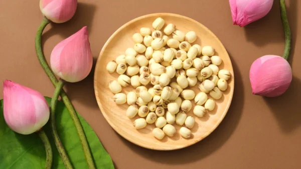 Top 10 Health Benefits of Dried Lotus Seeds You Should Know