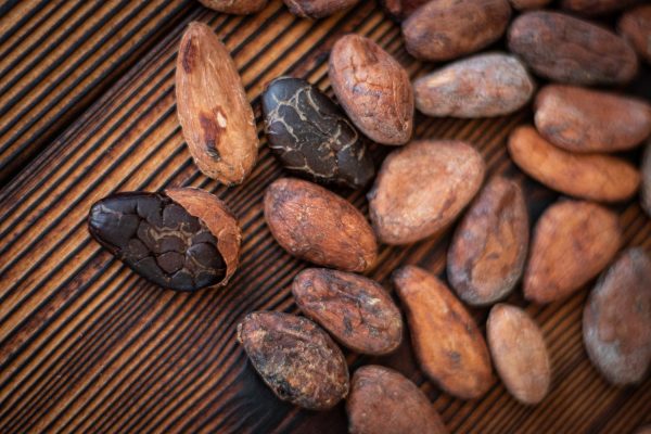 Cocoa Beans: Health Benefits, Uses and Export Potential Worldwide