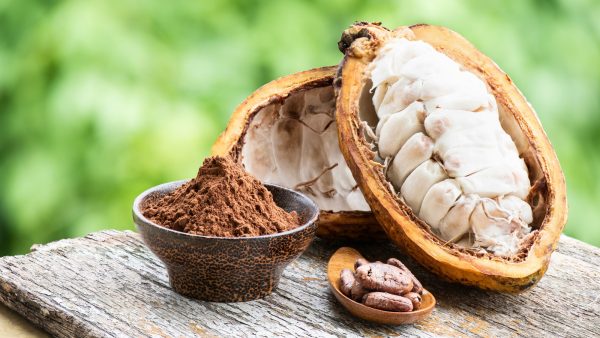 TẠI SAO CÁC NHÀ SẢN XUẤT CHOCOLATE THỦ CÔNG ĐANG 