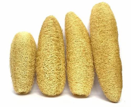 High-Quality Dried Loofah Manufacturer & Exporter in Vietnam