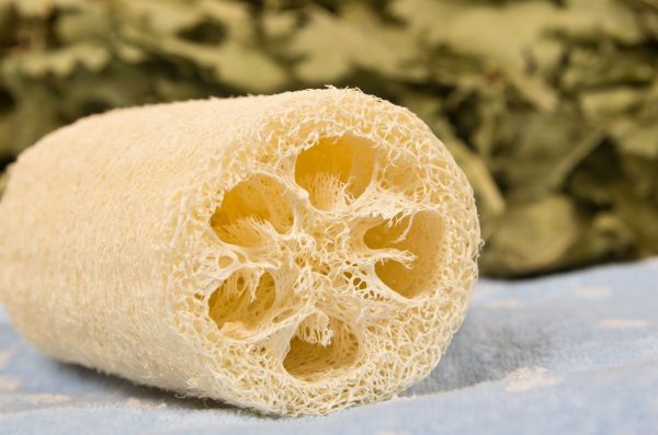 Premium Dried Loofah Supplier from Vietnam for Global Markets