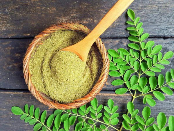 Top Benefits of Moringa Leaf Powder You Should Know