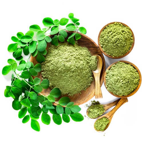 BỘT LÁ CHÙM NGÂY
