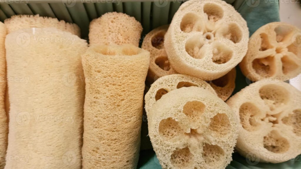Top Benefits of Using Natural Dried Loofah Sponges