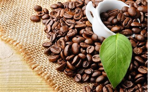 Cách nhận biết cà phê nguyên chất và cà phê trộn chính xác nhất