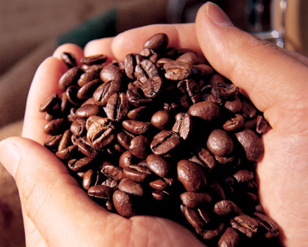 Coffee Beans in 2026: New Trends Every Coffee Lover Should Know