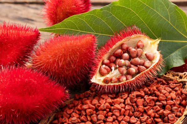 Hạt Cà Ri: Siêu Thực Phẩm Tốt Cho Sức Khỏe Và Sắc Đẹp Từ Thiên Nhiên