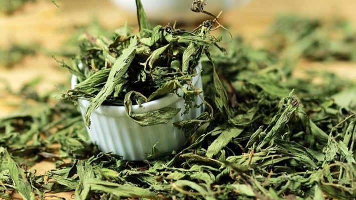 tác dụng của cỏ ngọt sấy khô