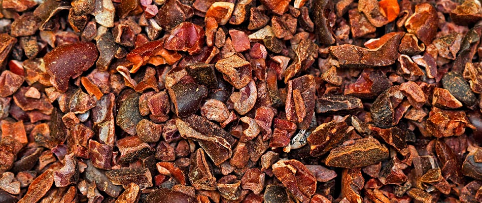Cocoa Beans : Health benefits ? How to use and eat it ?