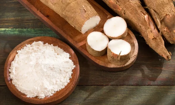 Premium Tapioca Supplier from Vietnam – Reliable Wholesale and Worldwide Shipping