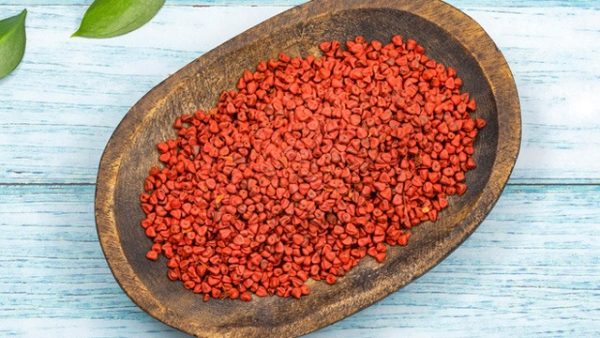 Health Benefits of Annatto Seed Backed by Traditional and Modern Use
