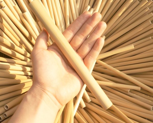 Everything You Need to Know About Bamboo Straws Products