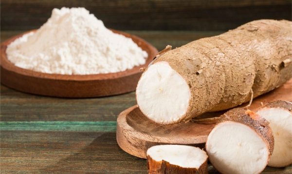 Why Tapioca Starch is Essential in Modern Food Manufacturing