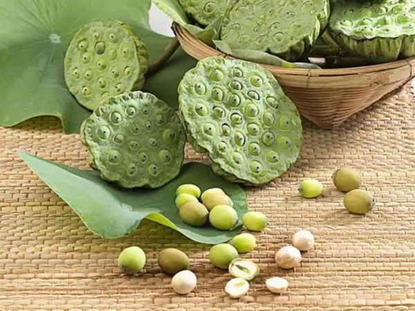 Mua Hạt Sen Khô Ở Đâu Uy Tín? Kinh Nghiệm Chọn Loại Ngon