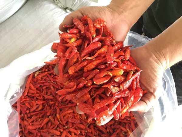 Vietnam Dried Chili Exporter: Reliable Supplier for Global Markets