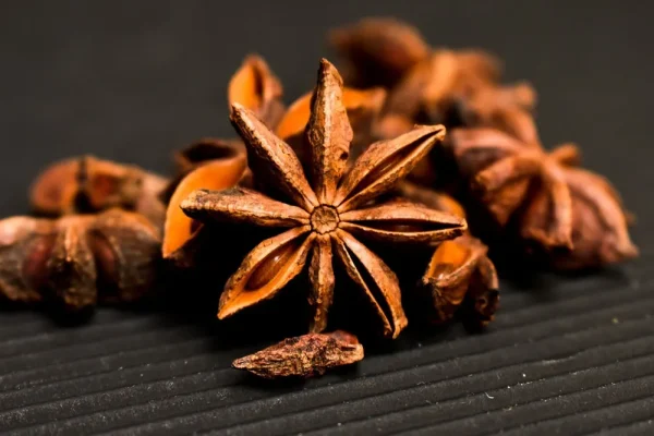 Bulk Star Anise Supply for Importers Worldwide