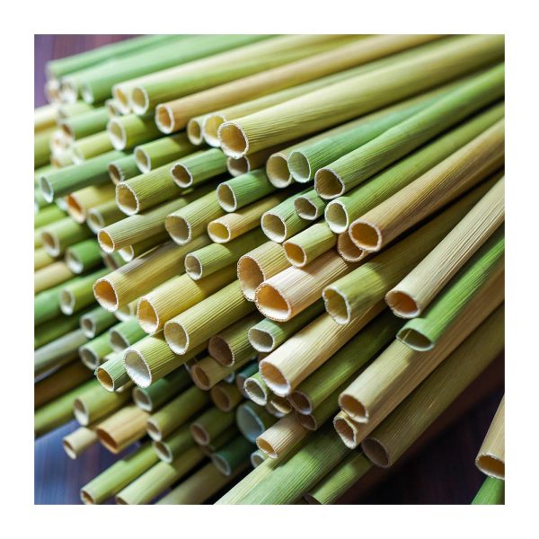 Top Benefits of Grass Straw for Sustainable Living