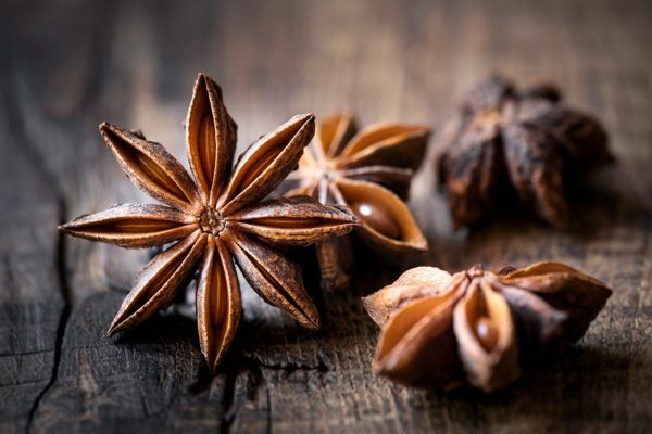 Trusted Star Anise Supplier with Competitive Wholesale Prices