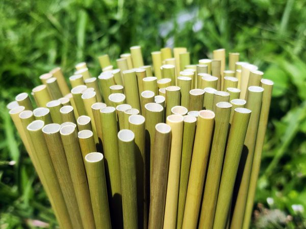 Wholesale Grass Straw Supplier for Cafes, Restaurants and Distributors