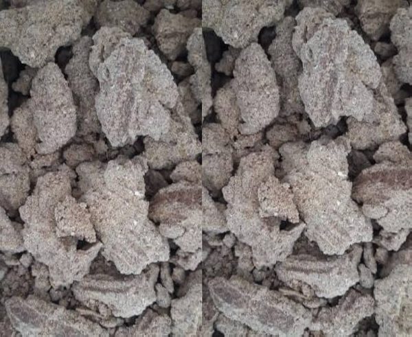 Vietnam Copra Cake Supplier for Livestock Feed Production