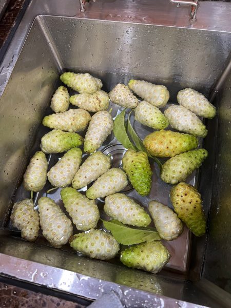 Benefits of Noni Fruit: Why This Tropical Superfruit Is So Powerful
